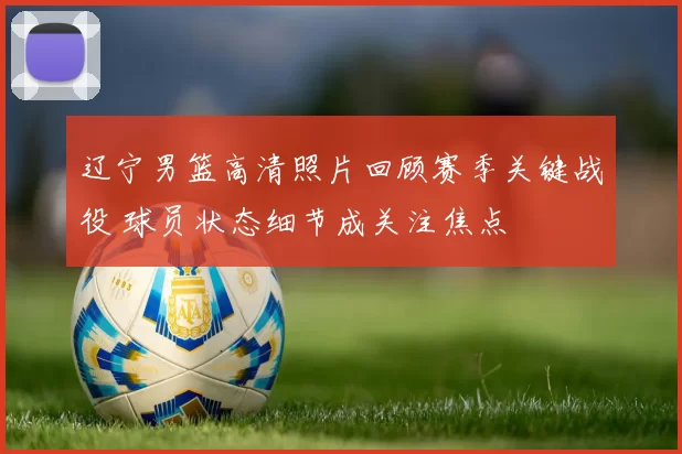 辽宁男篮高清照片回顾赛季关键战役 球员状态细节成关注焦点