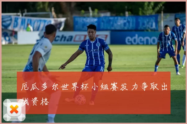 厄瓜多尔世界杯小组赛发力争取出线资格