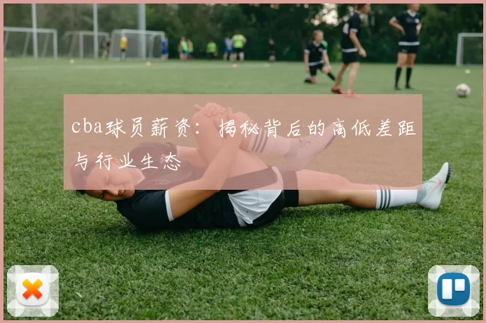 cba球员薪资：揭秘背后的高低差距与行业生态