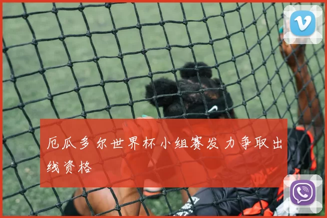 厄瓜多尔世界杯小组赛发力争取出线资格